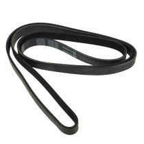1981 - 1982 Jeep Cherokee  Serpentine Belt for L6 4.2L (8th Vin Digit C)