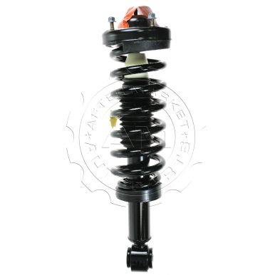  ... F150 Truck Front Strut Assembly for 2WD Models ( Monroe Quick-Strut